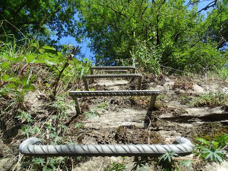 Adventurous hiking way high above the river rhine - easy to go for the most tourists.の写真素材