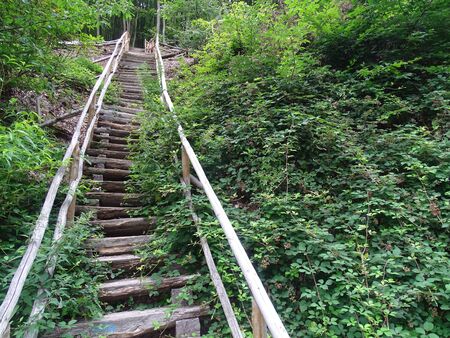 Old stairs as part of the Rheinsteig anong the river Rhine.の写真素材