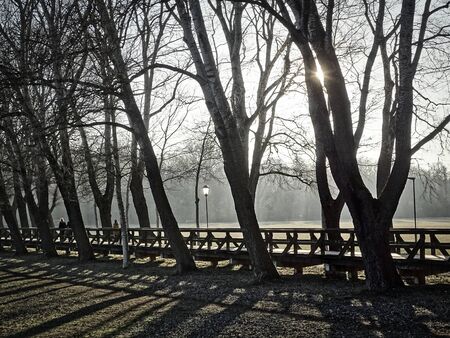 Flat pedestrian bridge through a park, which is often flooded by a small river.の写真素材