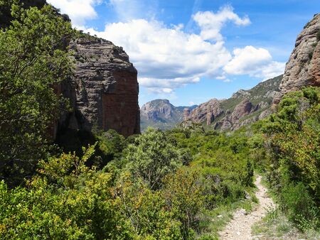 The Los Mallos near Riglos in Spain are a manageable small mountainous area in Spain, which is worth the visit not only because of the vultures.の写真素材