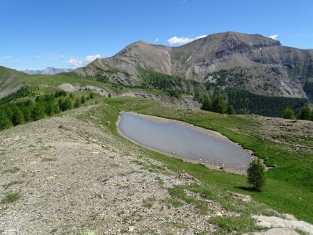At the Col d 'Allos in the French Alps begins a beautiful trail almost without incline to Rochegrand, the mountain of Allos. The way leads through marmot area over flower meadows with wonderful far view.の写真素材