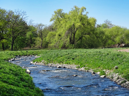 The river Mulde in Dessau has a bypass for salmon, which is not only made of concrete.