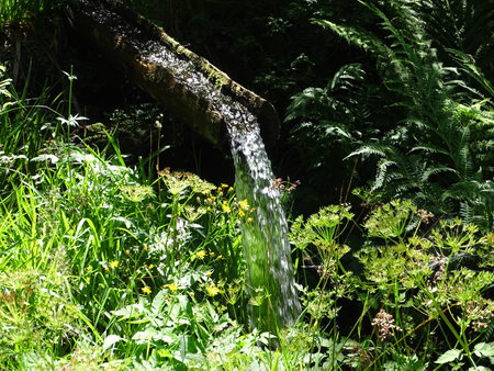 A small waterfall in the forest on a sunny summer day. Landscape.の写真素材