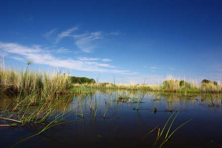 The Okavango Delta, Botswana, Africaの写真素材
