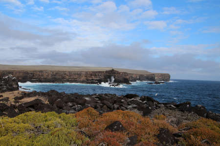 Punta Suarez coast, landscape on the island of Espanola, Galapagos Islandsの写真素材