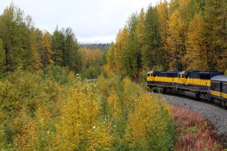 Train ride in autumnal Alaska to Denaliの写真素材