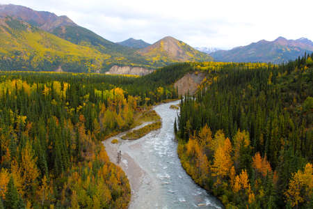 Autumn landscape in Denali National Park Alaskaの写真素材