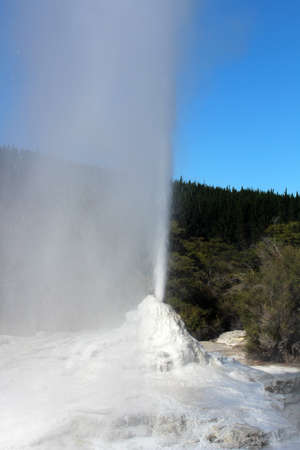 Lady Knox Geyser, Rotorua, New Zealandの写真素材