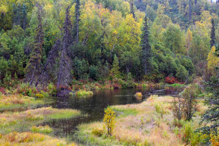 Alaska Denali National Park in autumnの写真素材