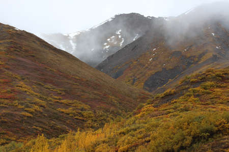 Alaska Denali National Park in autumnの写真素材