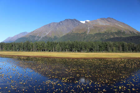 Autumn landscape at Kenai Lake in Alaskaの写真素材