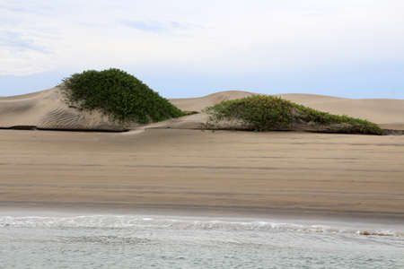 Dune landscape Bahia Magdalena, Puerto Lopez Mateos, Baja California Sur, Mexicoの写真素材