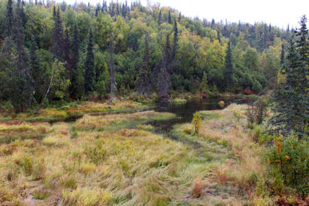 Alaska Denali National Park in autumnの写真素材