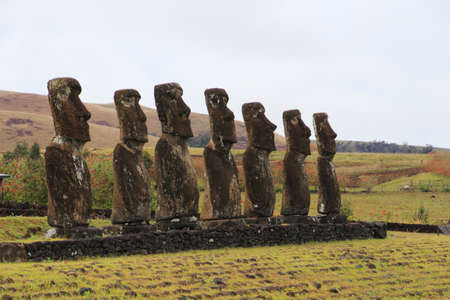 Moai  Ahu Akivi - The seven scouts from Easter Island, Chileの写真素材