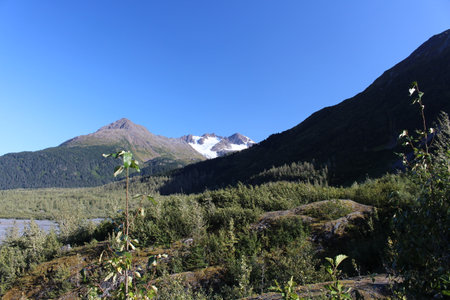 Alaska landscape in good weather near the Exit Glacierの写真素材