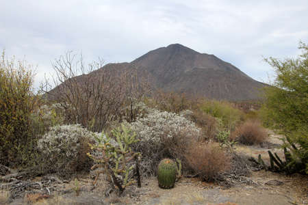 View of the Volcano Tres VÃ­rgenes, Baja California Sur, Mexicoの写真素材