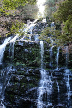 Nelson Falls in the Franklin-Gordon Wild Rivers National Park, Tasmania, Australiaの写真素材