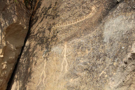 Petroglyph in Qobustan National Park, Azerbaijanの写真素材