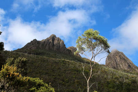 The Cradle Mountain Lake St. Clair National Park is a national park in the center of the Australian state of Tasmaniaの写真素材