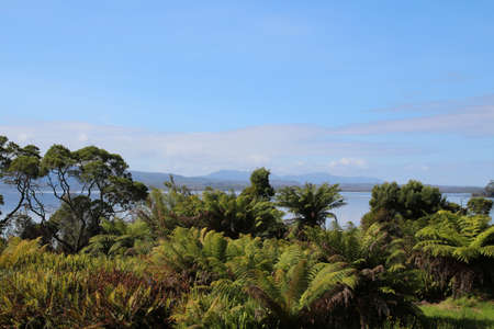 Landscape at the Macquarie Harbor, Tasmania, Australiaの写真素材