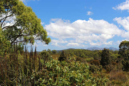 Tasmania, Cradle Mountain Lake St. Clair National Parkの写真素材