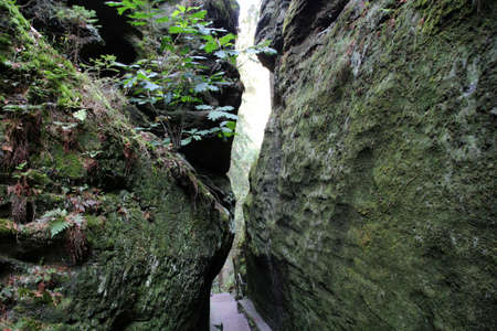 Saxon Switzerland, Germany: - The Sweden holes is a gorge-like gorge in Saxon Switzerland, the deeply carved gorge formed by the erosion of the softer sandstone.の写真素材