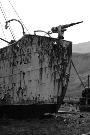 Wreck of the whaling ship Petrel, Former whaling station Grytviken, South Georgiaのeditorial素材