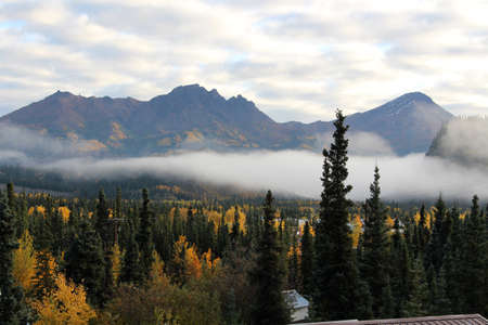 The Denali National Park in fall, Alaskaの写真素材