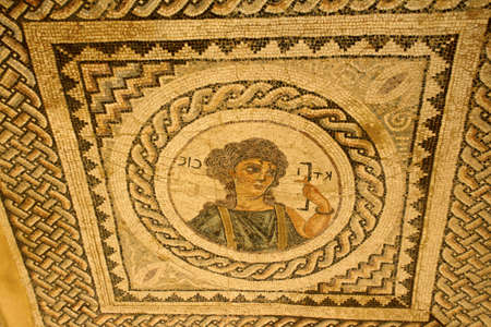 Floor mosaic of the House of Eustolius in Kourion, Cyprusの写真素材