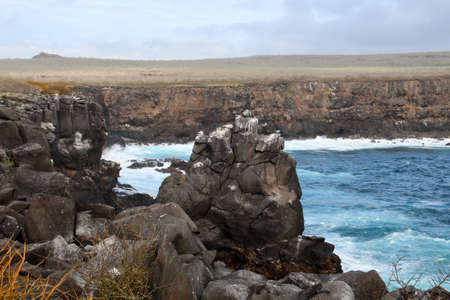Punta Suarez coast, landscape on the island of Espanola, Galapagos Islands, Ecuadorの写真素材