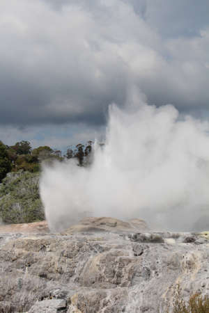Pohutu Geyser in the Whakarewarewa Thermal Valley, Rotorua, New Zealandの写真素材