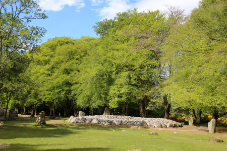 Balnuaran of Clava, Scotland. Balnuaran of Clava is the location of several megalithic systems in Strathnairn, Scotland.の写真素材