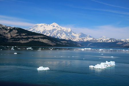 Mount Saint Elias in Alaska photographed from Icy Bay, Alaska, United Statesの写真素材