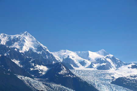 Alaska, Harvard Glacier in College Fjordの写真素材