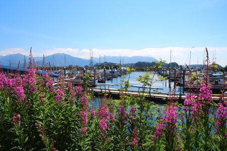 Alaska, Port of Sitka, United Statesの写真素材