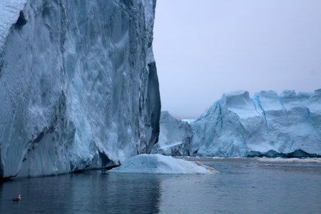 Icebergs in Disko Bay, Greenland, Denmarkの写真素材