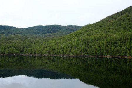 Coastal landscape with reflecting forest British Columbia, Canadaの写真素材