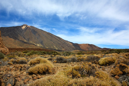Landscape at El Teide National Park, Tenerife, Spainの写真素材
