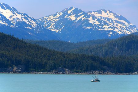 Mountain landscape in the Icy Strait, Alaska, United Statesの写真素材