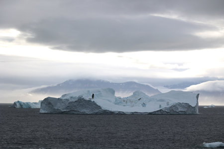 Icebergs in Disko Bay, Arctic, Greenland, Denmarkの写真素材