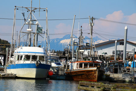 Alaska, port of the small town of Petersburg, United Statesの写真素材