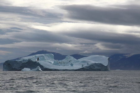 Icebergs in Disko Bay, Arctic, Greenland, Denmarkの写真素材