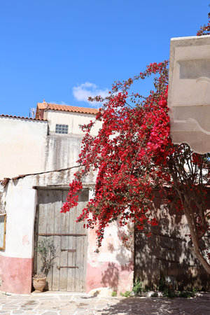 Romantic alley in Chalkio, Naxos, Greeceの写真素材