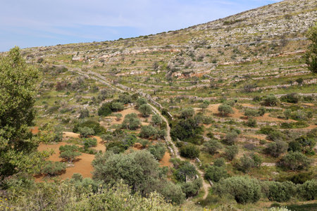 Hiking trail at the mountain village of Lefkes-Greeceの写真素材