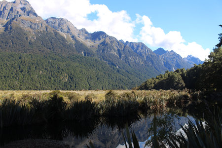 The Mirror Lakes, South Island, New Zealandの写真素材