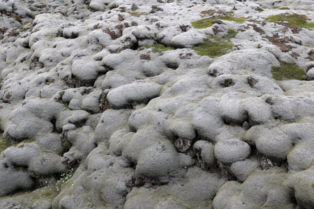 Iceland- Mossy Lava Fields-Lava flow from the Laki fissureの写真素材