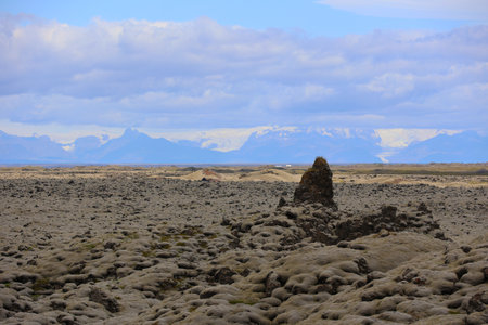 Iceland- Mossy Lava Fields-Lava flow from the Laki fissureの写真素材