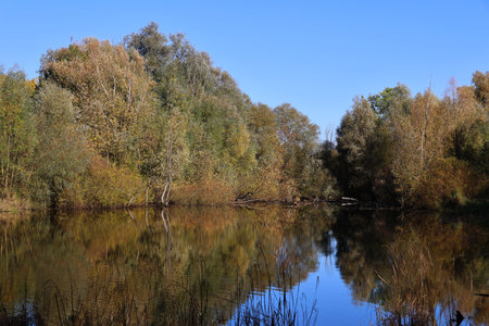 Autumn landscape with the river and the forest on a sunny dayの写真素材