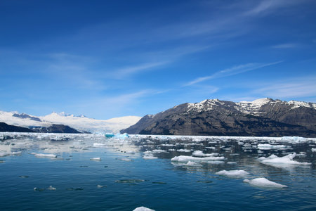 Robinson Mountains photographed from Icy Bay, Alaska, United Statesの写真素材
