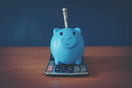 Piggy Bankの写真素材